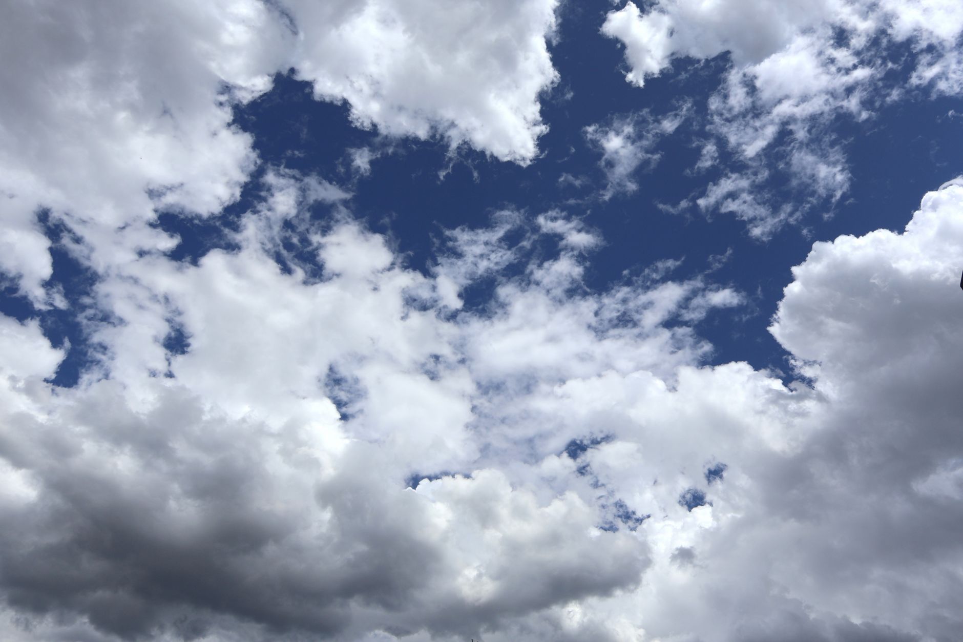 How Do I Know If I Need a Cloud Service, And What Kind Should I Choose?